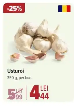 Carrefour Market Usturoi Ofertă