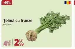 Carrefour Market Ṭelină cu frunze Ofertă
