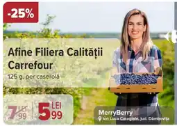 Afine Filiera Calității Carrefour