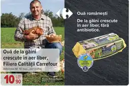 Carrefour Ouǎ de la găini crescute în aer liber, Filiera Calităţii Carrefour Ofertă