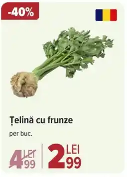 Carrefour Telină cu frunze Ofertă