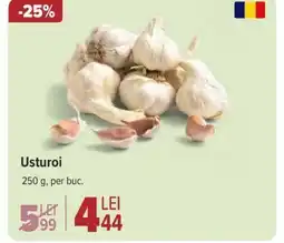Carrefour Usturoi Ofertă