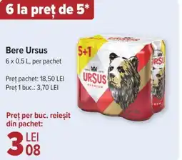 Bere Ursus