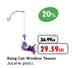Kong Cat Window Teaser