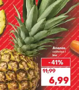 Kaufland Ananas Ofertă
