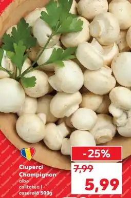 Ciuperci Champignon