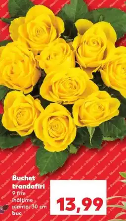 Kaufland Buchet trandafiri Ofertă