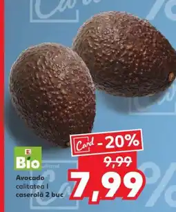 Kaufland Avocado Ofertă