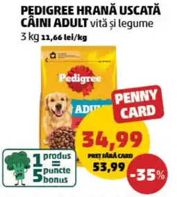 Penny PEDIGREE HRANĂ USCATĂ CÂINI ADULT Ofertă