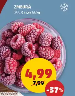 Penny ZMEURĂ Ofertă