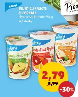 Penny IAURT CU FRUCTE ȘI CEREALE Ofertă