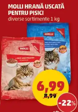 Penny MOLLI HRANĂ USCATĂ PENTRU PISICI Ofertă
