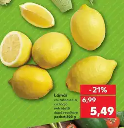 Kaufland Lămâi Ofertă