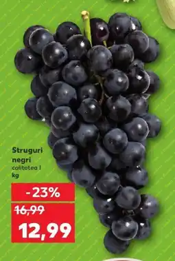 Kaufland Struguri negri Ofertă