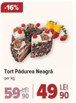 Carrefour Tort Pădurea Neagră Ofertă