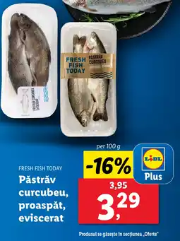Lidl FRESH FISH TODAY Păstrăv curcubeu, proaspăt, eviscerat Ofertă