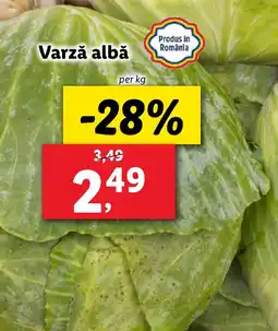 Lidl Varză albă Ofertă