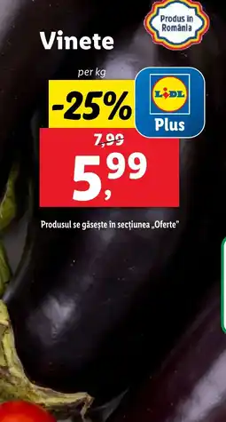 Lidl Vinete Ofertă