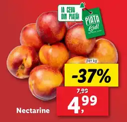 Nectarine