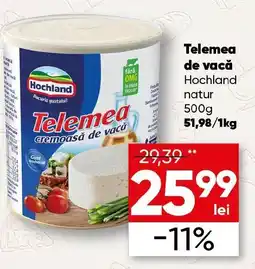 PROFI Telemea de vacă Hochland Ofertă