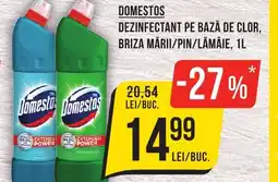 Mega Image DOMESTOS DEZINFECTANT PE BAZĂ DE CLOR, BRIZA MĂRII/PIN/LĂMÂIE, 1L Ofertă