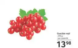 Selgros Coacǎze roşii Ofertă