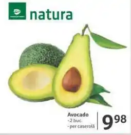 Avocado