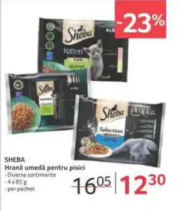Selgros SHEBA Hrană umedă pentru pisici Ofertă