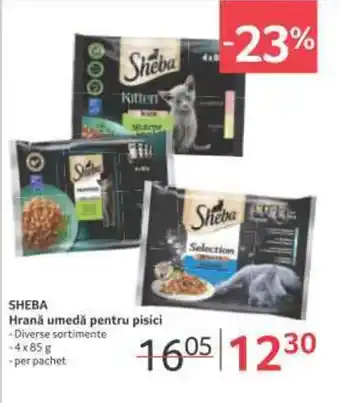 Selgros SHEBA Hrană umedă pentru pisici Ofertă