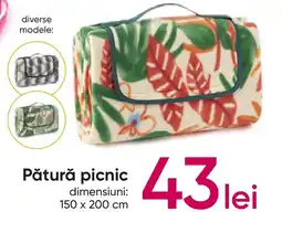 Pepco Pătură picnic Ofertă