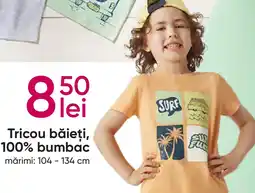 Pepco Tricou băieţi, 100% bumbac Ofertă