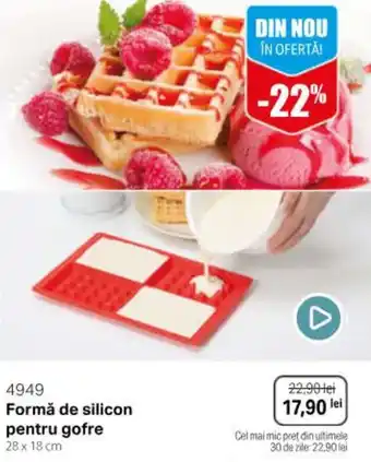 BetterStyle Formă de silicon pentru gofre Ofertă