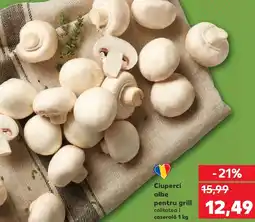 Kaufland Ciuperci albe pentru grill Ofertă