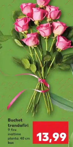 Kaufland Buchet trandafiri Ofertă