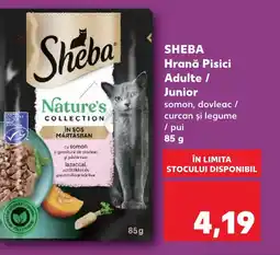 Kaufland SHEBA Hrană Pisici Adulte / Junior Ofertă