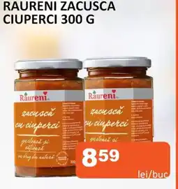 RAURENI ZACUSCA CIUPERCI 300 G