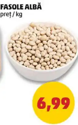 Penny FASOLE ALBĂ Ofertă