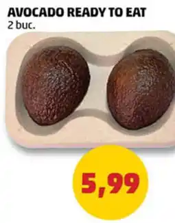 AVOCADO READY TO EAT