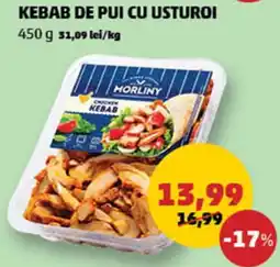 KEBAB DE PUI CU USTUROI