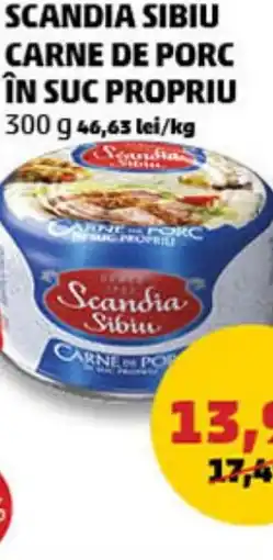 SCANDIA SIBIU CARNE DE PORC ÎN SUC PROPRIU