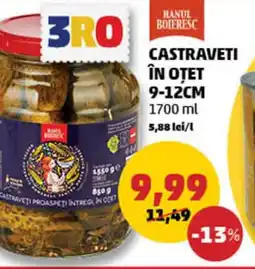 CASTRAVETI ÎN OTET 9-12CM