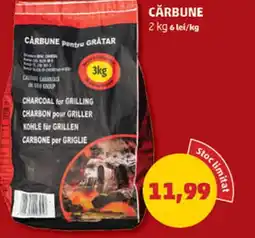 Penny CARBUNE Ofertă