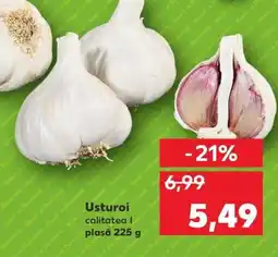 Kaufland Usturoi Ofertă