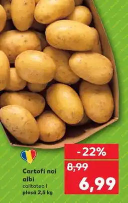 Kaufland Cartofi noi albi Ofertă