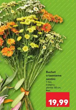 Kaufland Buchet crizanteme santini Ofertă
