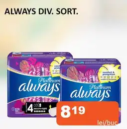 Unicarm ALWAYS DIV. SORT. Ofertă