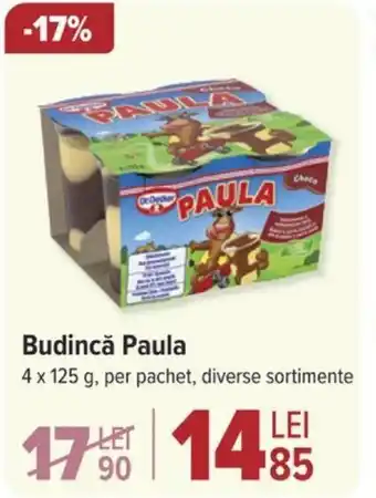 Carrefour Budincǎ Paula Ofertă