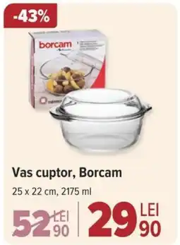 Carrefour Vas cuptor, Borcam Ofertă