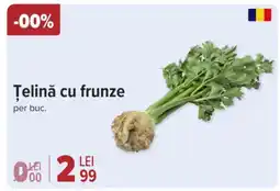 Carrefour Ţelină cu frunze Ofertă