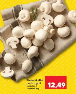 Kaufland Ciuperci albe pentru grill Ofertă